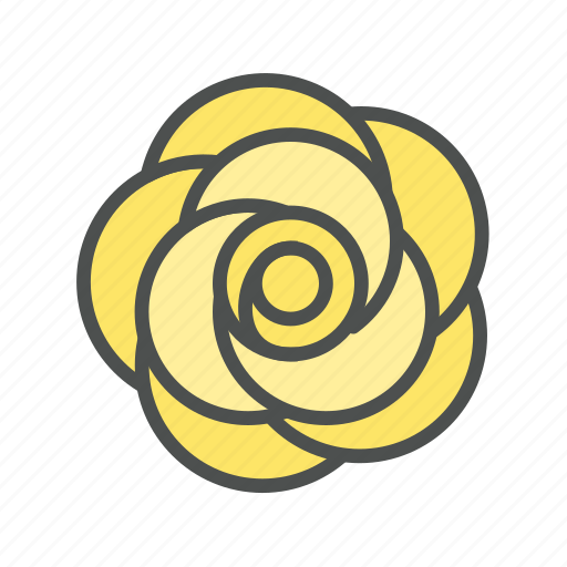 Blossom, flower, nature, rose, spring icon - Download on Iconfinder