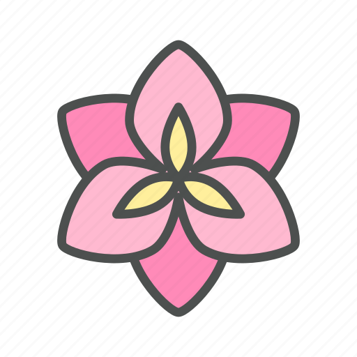 Amaryllis, blossom, flower, nature, spring icon - Download on Iconfinder