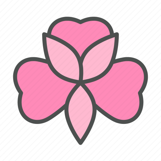 Alstroemeria, blossom, flower, nature, spring icon - Download on Iconfinder