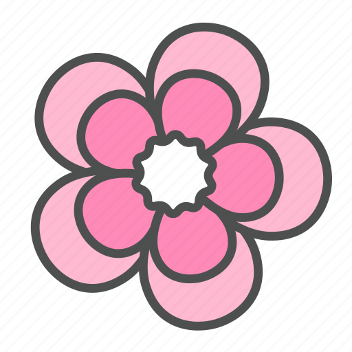 Blossom, flower, geranium, nature, spring icon - Download on Iconfinder