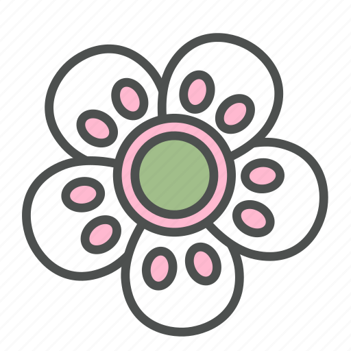 Blossom, flower, nature, pipsissewa, spring icon - Download on Iconfinder