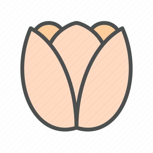 Blossom, flower, nature, spring, tupip icon - Download on Iconfinder