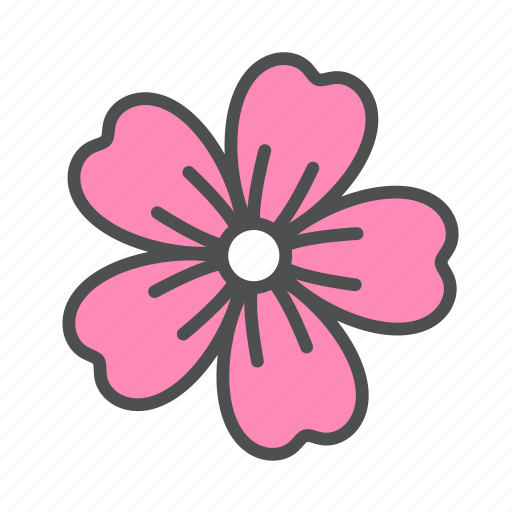 Blossom, flower, lavatera, nature, spring icon - Download on Iconfinder