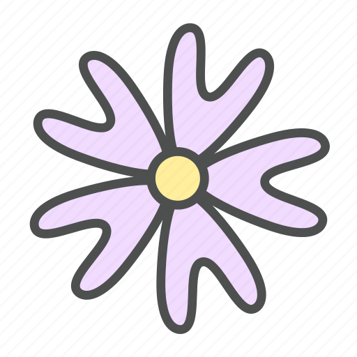 Bifida, blossom, flower, nature, phlox, spring icon - Download on Iconfinder