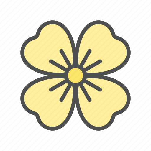 Blossom, flower, nature, primrose, spring, sundrop icon - Download on Iconfinder