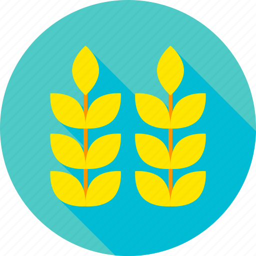 Agriculture, corn, cultivation, garden, nature, plant, wheat icon - Download on Iconfinder