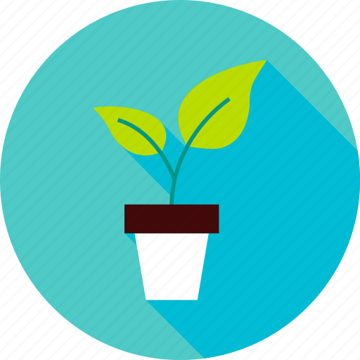 Foliage, garden, leaf, nature, plant, pot, spring icon - Download on Iconfinder