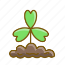 clover, leaf, leaves, nature 