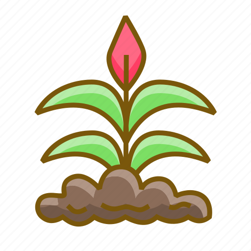 Blossom, flower, plant, spring icon - Download on Iconfinder