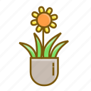 floral, flower, plant, pot 