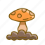fungi, fungus, mushroom, mushrooms 