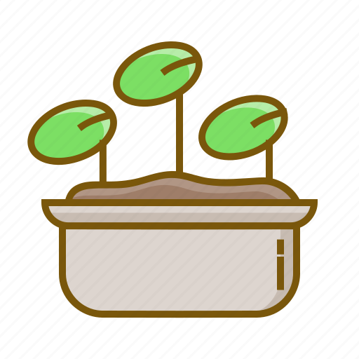 Growth, plant, seed, spring icon - Download on Iconfinder