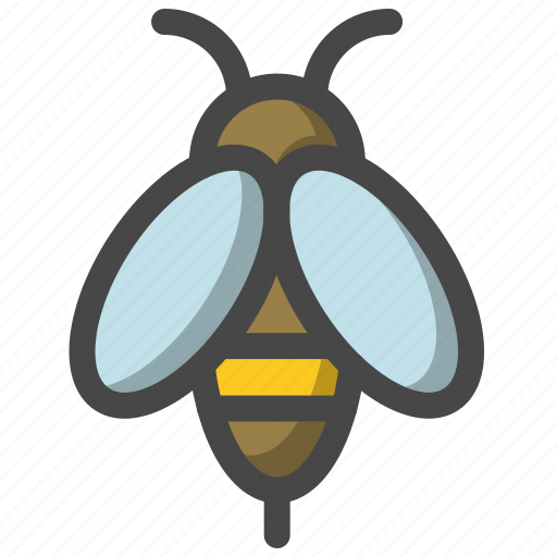 Bee, garden, honey, insect, nature, sesaon, spring icon - Download on Iconfinder