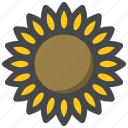 flower, plant, sesaon, spring, sun, sunflower