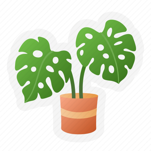 Montserrat, leaf, plant, pot, decoration, nature, botanical sticker - Download on Iconfinder