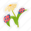 flower, ladybug, plant, farming, flowering, gardening 