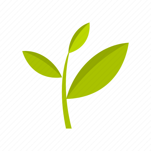 Agriculture, leaf, nature, plant, plantation, tea, tree icon - Download on Iconfinder