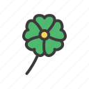 irish, clover, celebration, shamrock, leaf, leaves, luck, st patrick