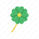 irish, clover, celebration, shamrock, leaf, leaves, luck, st patrick