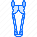 horse, head, stable, ranch