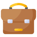 portfolio, bag, briefcase, document, business, work, professional