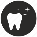 clean, dental, dentist, fresh, tooth, implant, tooth implant 