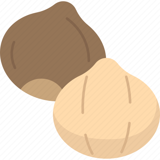 Macadamia, nut, kernel, nutshell, nutrition icon - Download on Iconfinder