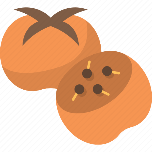 Persimmon, fruit, dessert, vitamin, tropical icon - Download on Iconfinder