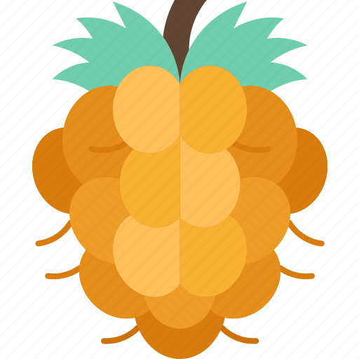 Salmonberry, fruit, berry, sweet, garden icon - Download on Iconfinder