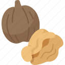 walnuts, kernel, food, ingredient, snack