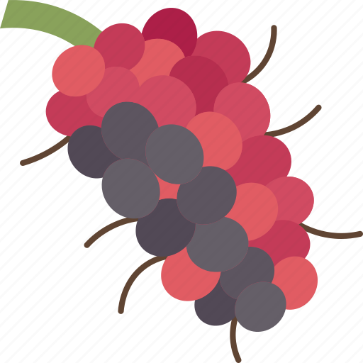 Mulberry, berry, fruit, sweet, organic icon - Download on Iconfinder