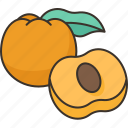 apricot, fruit, juice, seed, stone