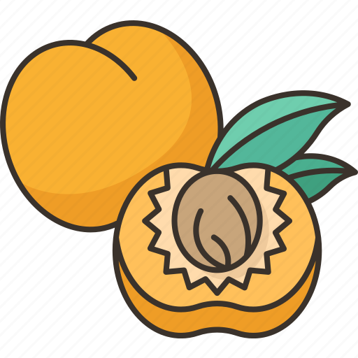 Apriums, fruit, flesh, vitamin, organic icon - Download on Iconfinder