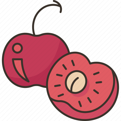 Cherry, berry, fruit, dessert, sweet icon - Download on Iconfinder