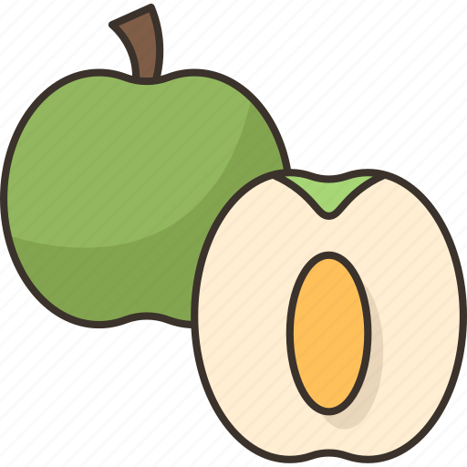 Jujube, fruit, vitamin, fresh, seed icon - Download on Iconfinder