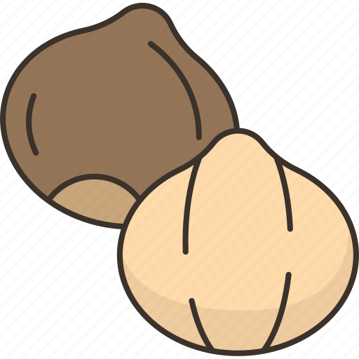 Macadamia, nut, kernel, nutshell, nutrition icon - Download on Iconfinder