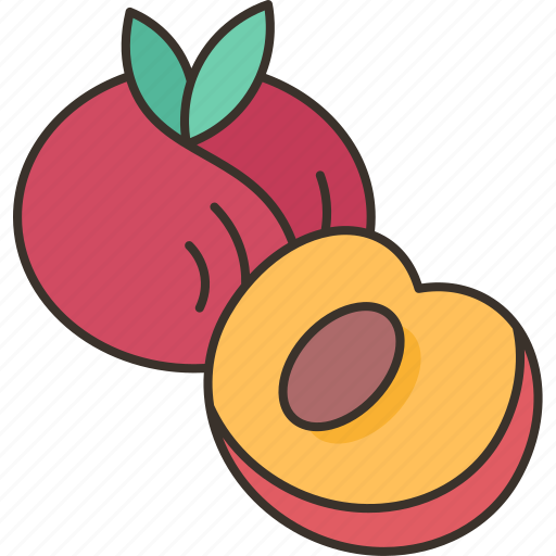 Peach, fruit, sweet, seed, stone icon - Download on Iconfinder