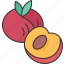 peach, fruit, sweet, seed, stone 