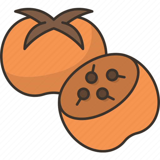 Persimmon, fruit, dessert, vitamin, tropical icon - Download on Iconfinder