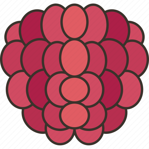 Raspberry, berry, fruit, sweet, ripe icon - Download on Iconfinder