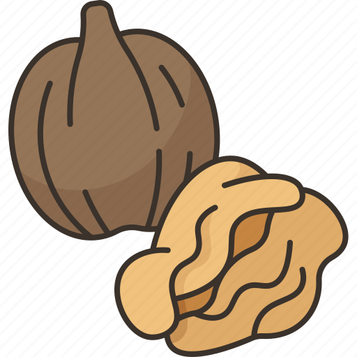 Walnuts, kernel, food, ingredient, snack icon - Download on Iconfinder