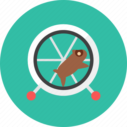 Hamster icon - Download on Iconfinder on Iconfinder