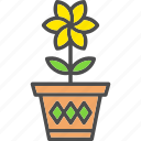 decoration, garden, leaf, plants, pot, potted