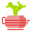 cactus, flower, plant, pot, succulent, vas 