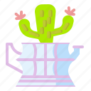 cactus, flower, plant, pot, succulent, vas