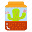 cactus, close, closed, plant, pot, succulent, vas