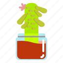 cactus, crown, plant, pot, succulent, throns, vas