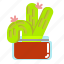cactus, ox, plant, pot, succulent, tongue, vas 