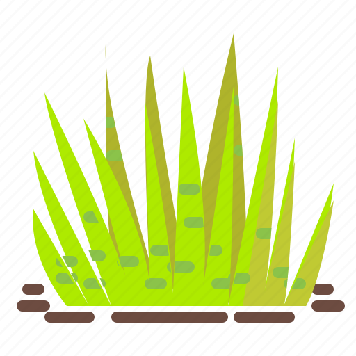 Cactus, grass, plant, pot, succulent, vas, zebra icon - Download on Iconfinder