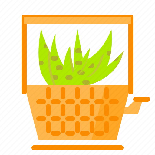 Cactus, plant, pot, succulent, vas, zebra icon - Download on Iconfinder